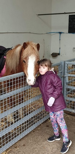 The Ark Open Farm Megan favourite horse