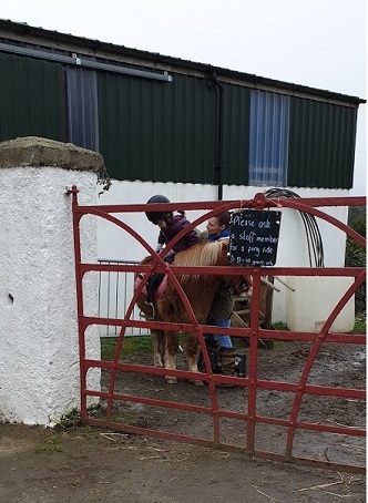 The Ark Open Farm Pony Trek