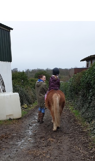 The Ark Open Farm Pony Treking